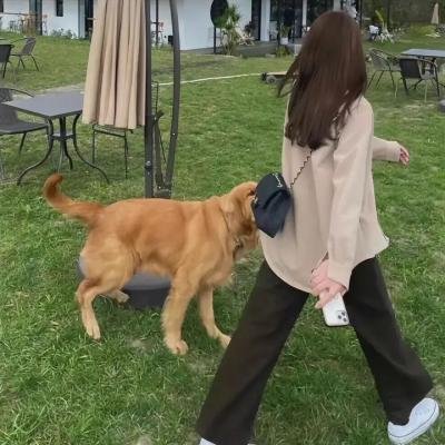 哥们的糗事